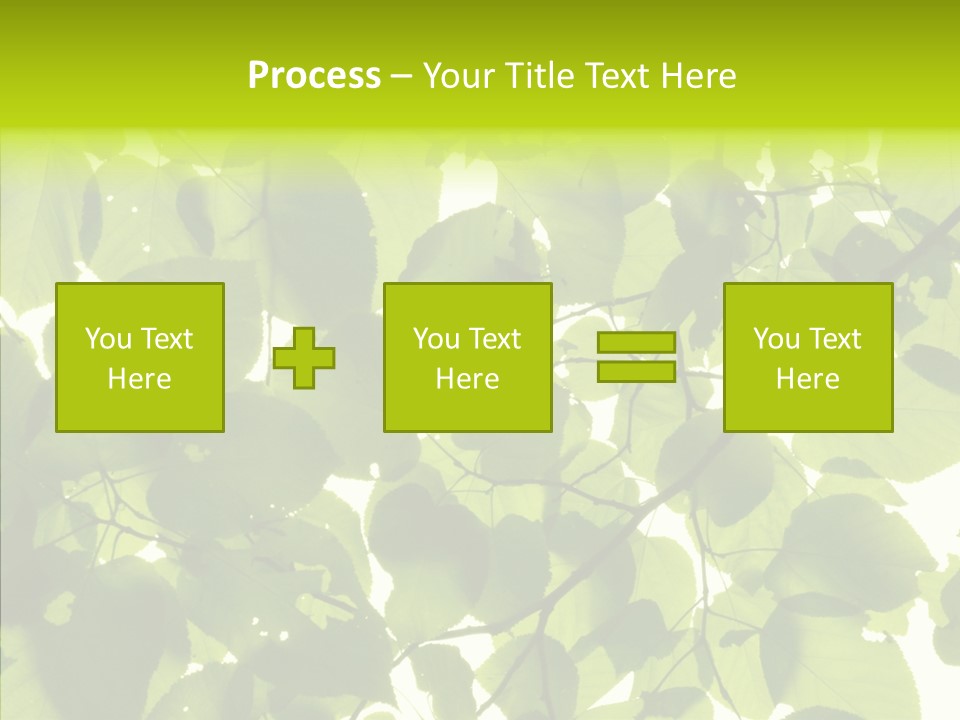 Nature Branches Tree PowerPoint Template