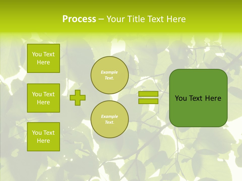 Nature Branches Tree PowerPoint Template