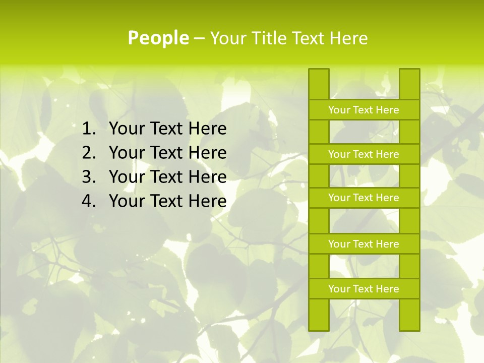Nature Branches Tree PowerPoint Template