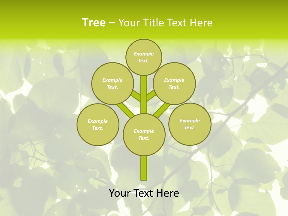 Nature Branches Tree PowerPoint Template