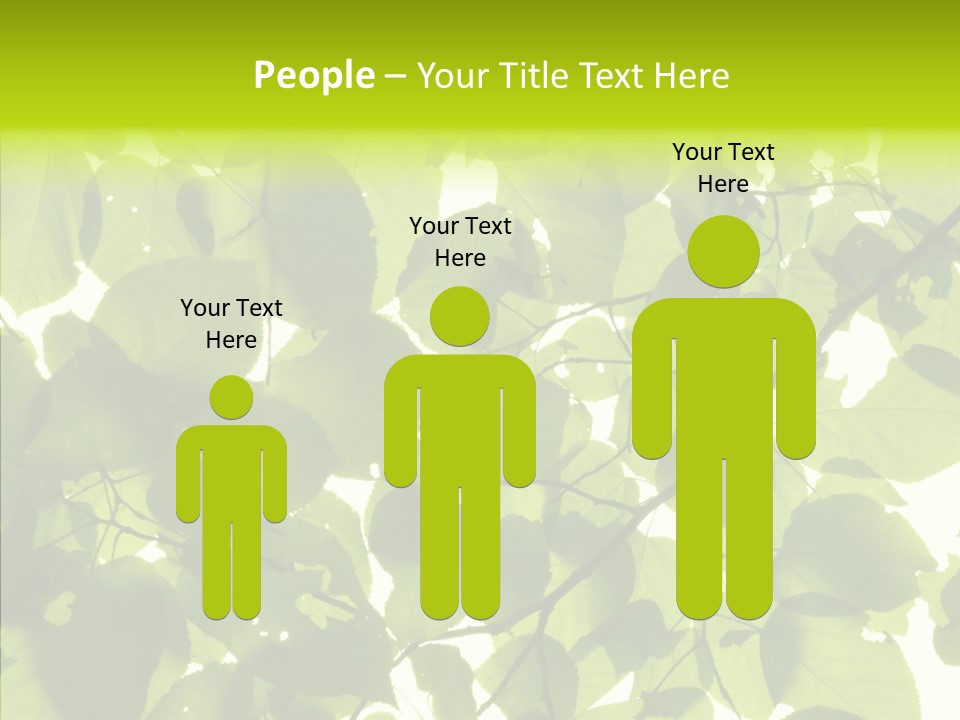 Nature Branches Tree PowerPoint Template