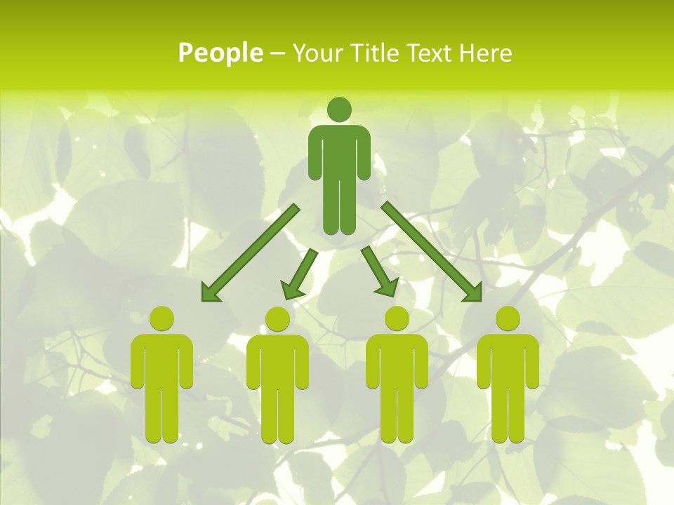 Nature Branches Tree PowerPoint Template