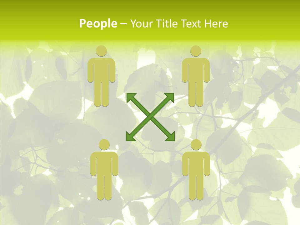 Nature Branches Tree PowerPoint Template
