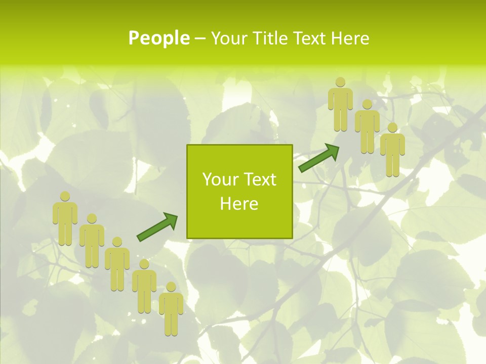 Nature Branches Tree PowerPoint Template