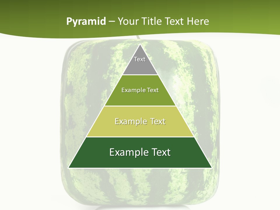 Vitamin Circle Snack PowerPoint Template