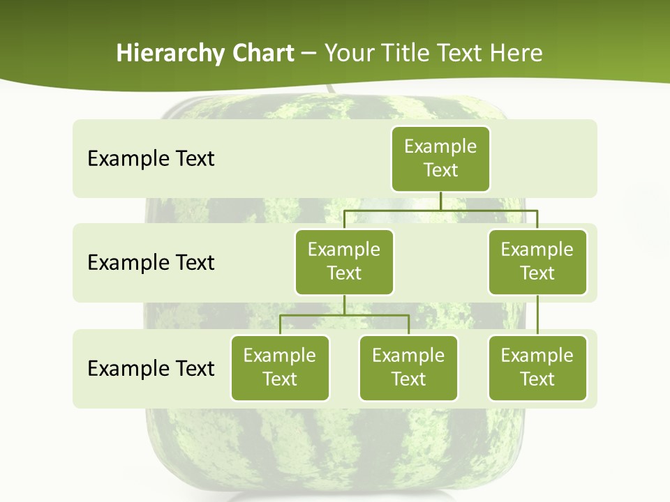Vitamin Circle Snack PowerPoint Template
