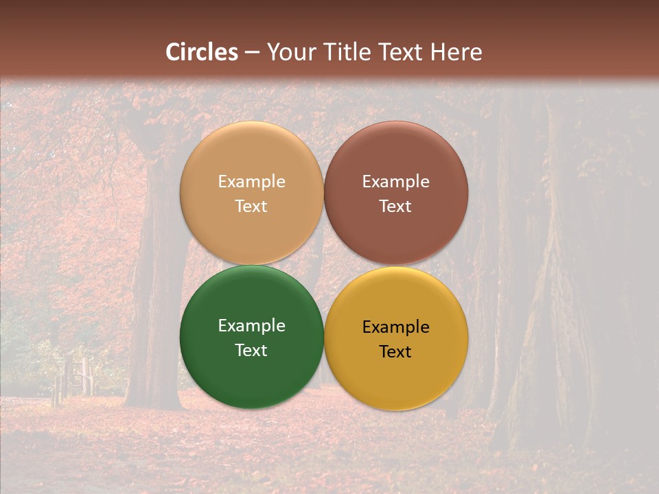 Walkway Foliage Orange PowerPoint Template