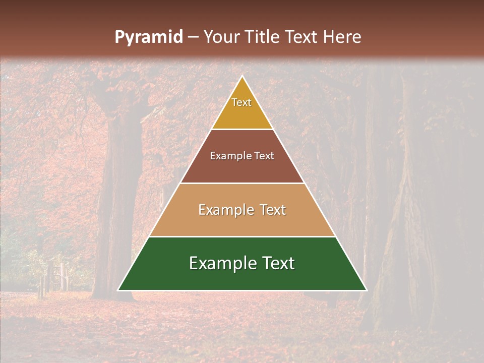 Walkway Foliage Orange PowerPoint Template