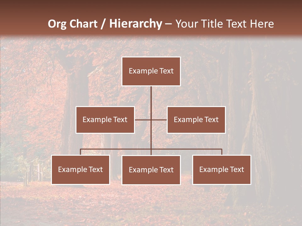 Walkway Foliage Orange PowerPoint Template