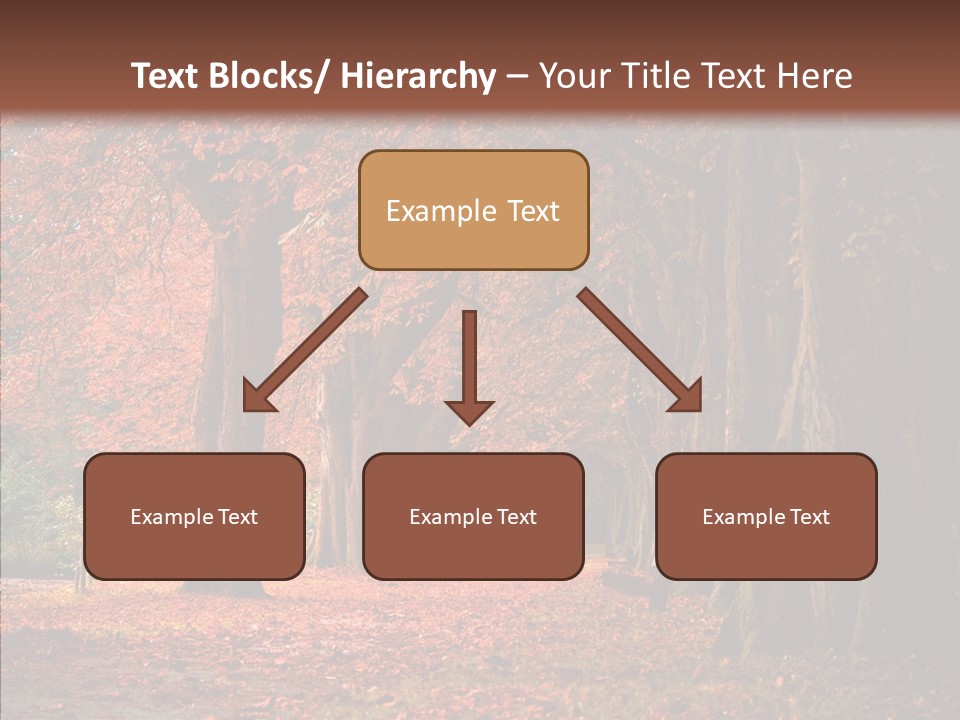 Walkway Foliage Orange PowerPoint Template