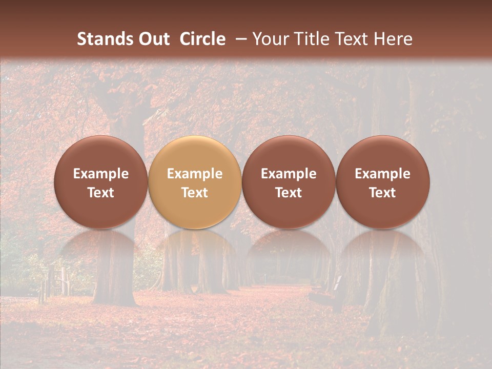 Walkway Foliage Orange PowerPoint Template