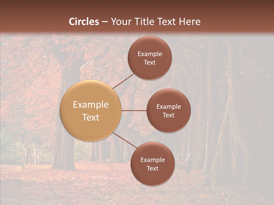 Walkway Foliage Orange PowerPoint Template