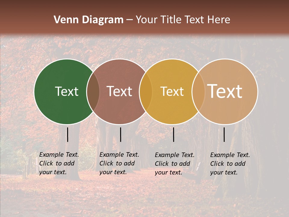 Walkway Foliage Orange PowerPoint Template