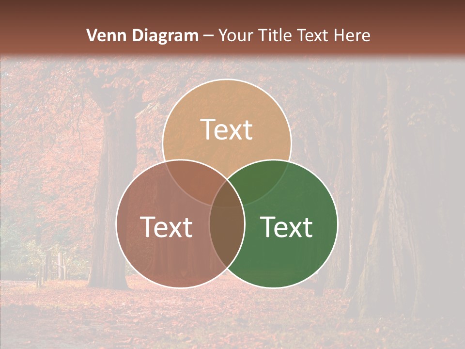 Walkway Foliage Orange PowerPoint Template