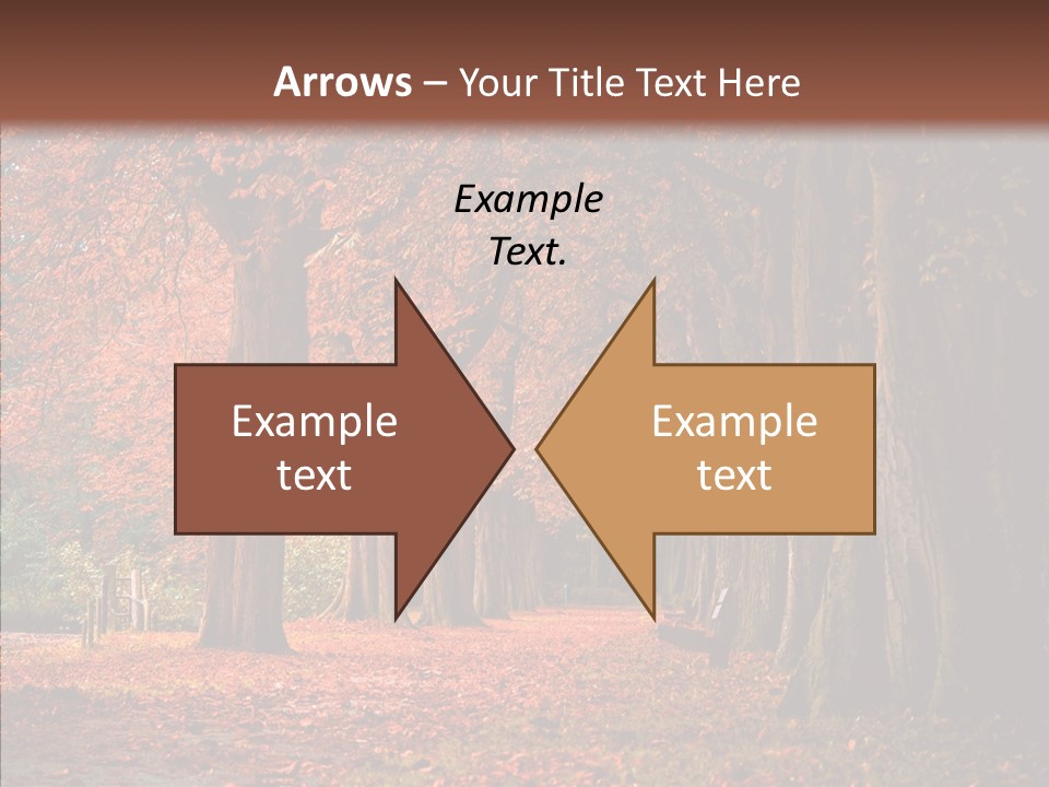 Walkway Foliage Orange PowerPoint Template