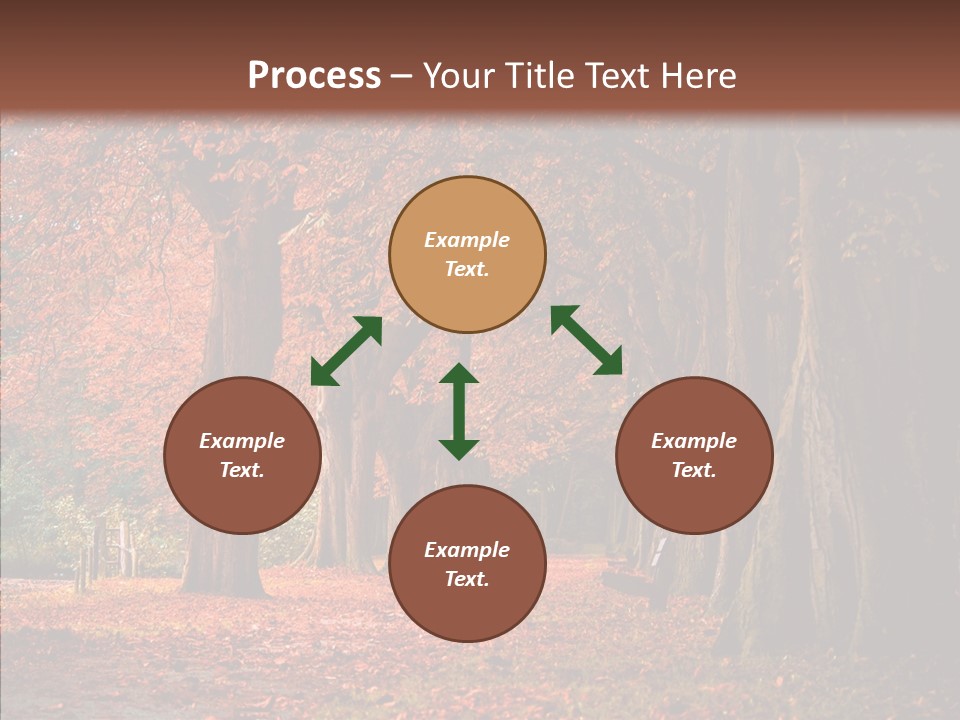 Walkway Foliage Orange PowerPoint Template