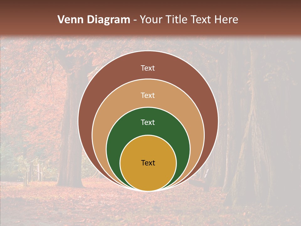 Walkway Foliage Orange PowerPoint Template