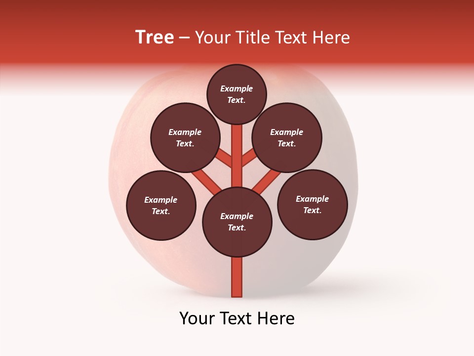 Macro Background Peach PowerPoint Template