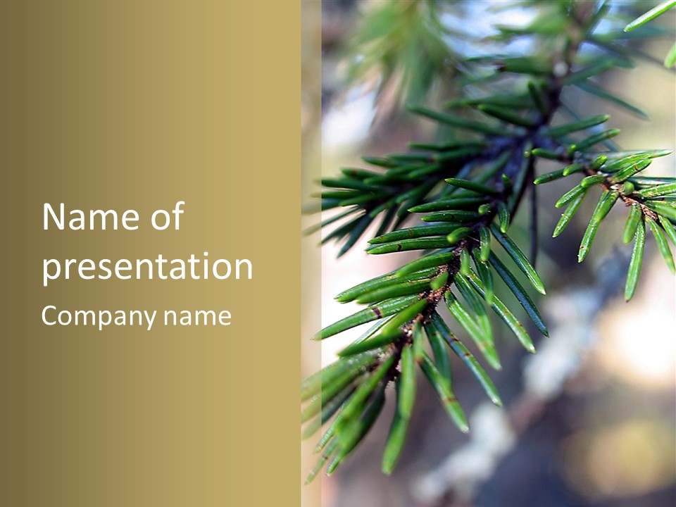 Decorations Tree Seasonal PowerPoint Template