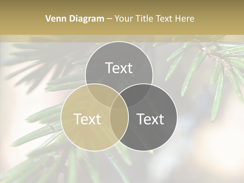 Decorations Tree Seasonal PowerPoint Template