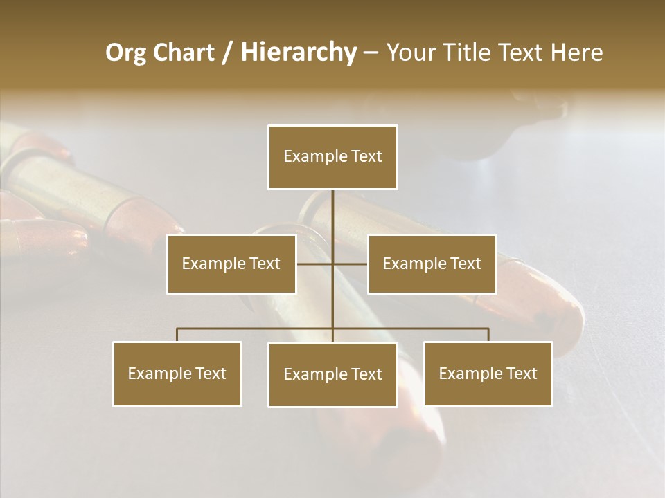 Ammunition Revolver Pistol PowerPoint Template