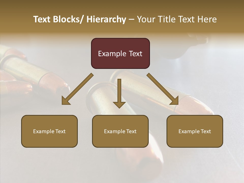 Ammunition Revolver Pistol PowerPoint Template