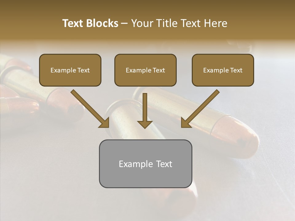 Ammunition Revolver Pistol PowerPoint Template