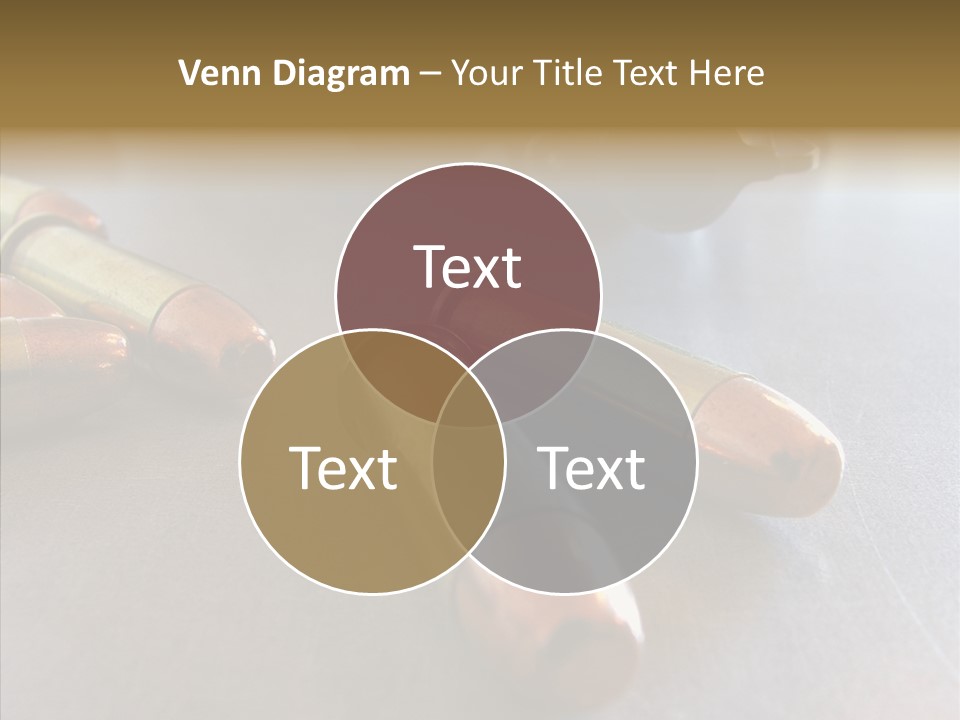 Ammunition Revolver Pistol PowerPoint Template