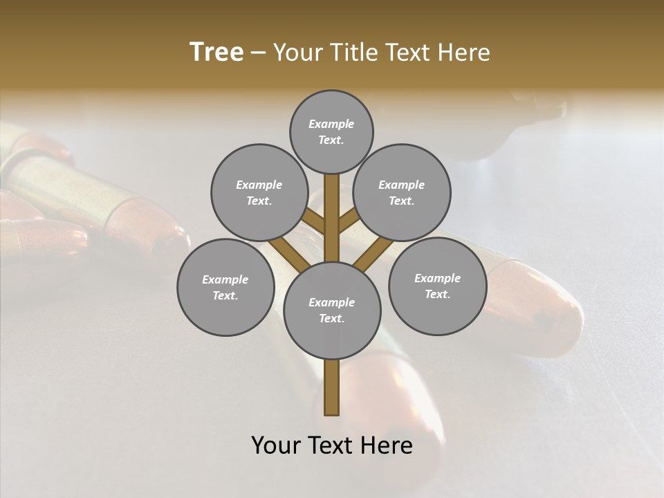 Ammunition Revolver Pistol PowerPoint Template