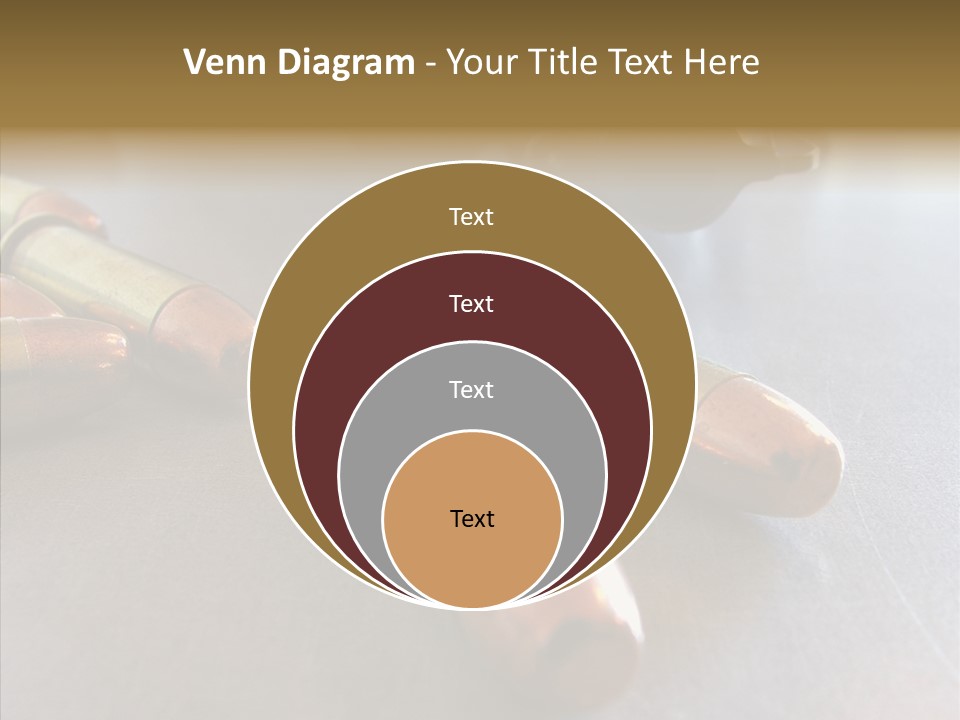 Ammunition Revolver Pistol PowerPoint Template