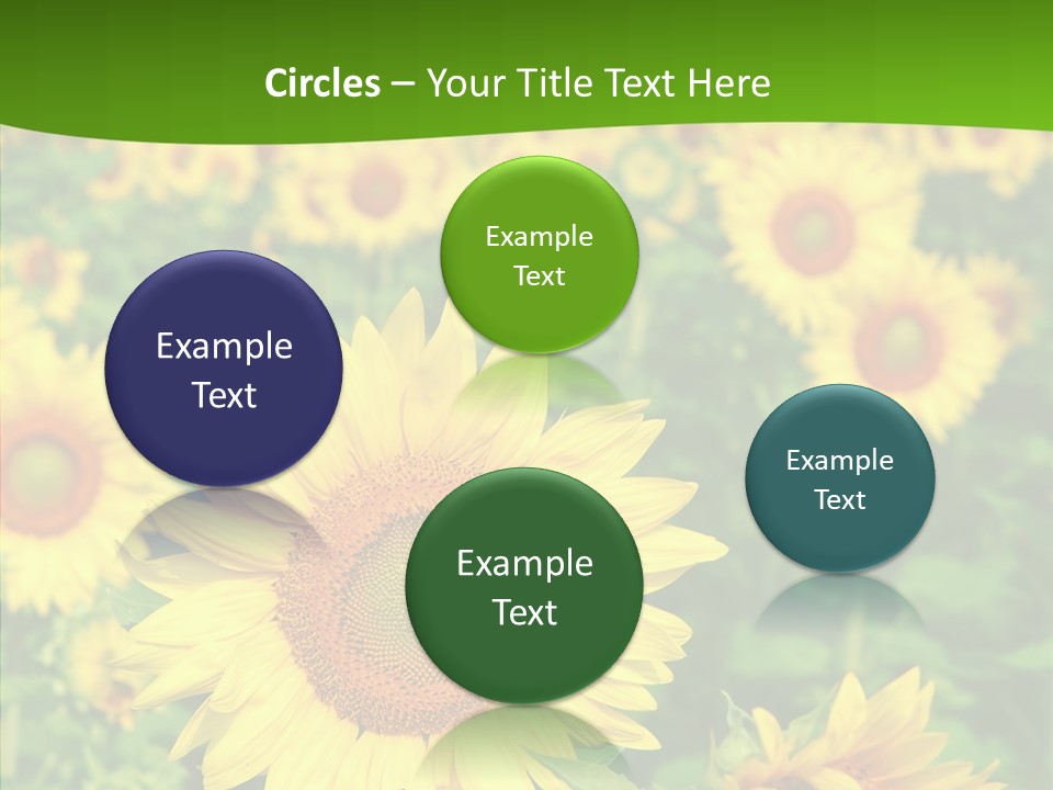 Vivid Agriculture Grow PowerPoint Template