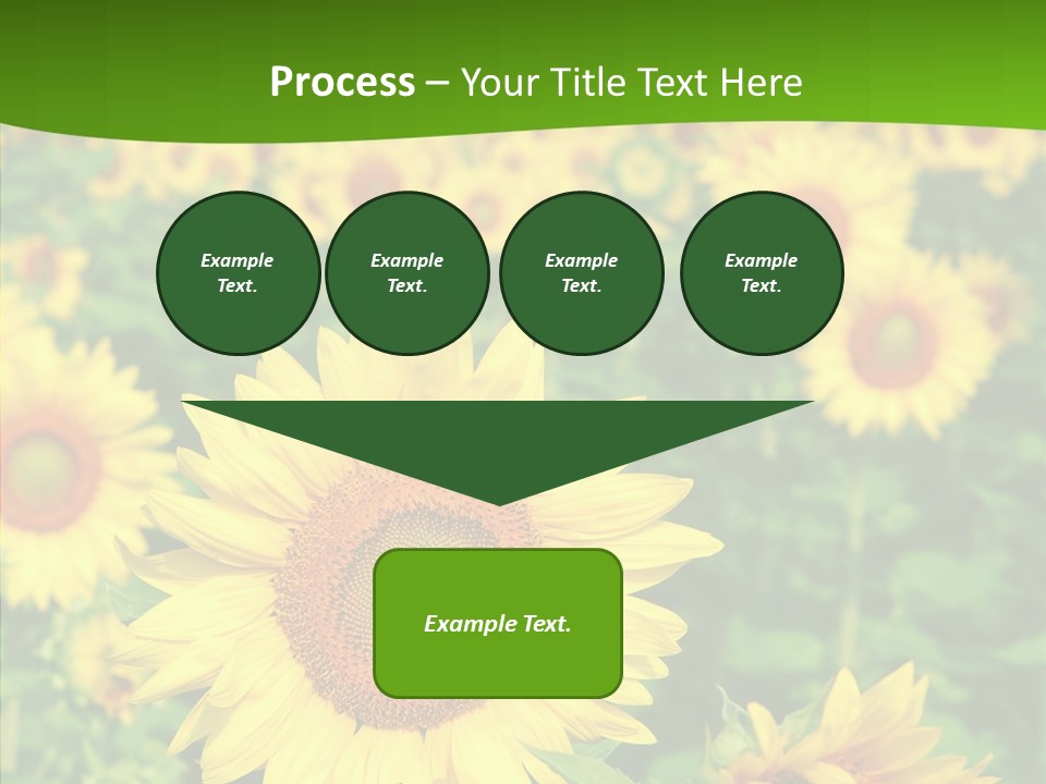 Vivid Agriculture Grow PowerPoint Template