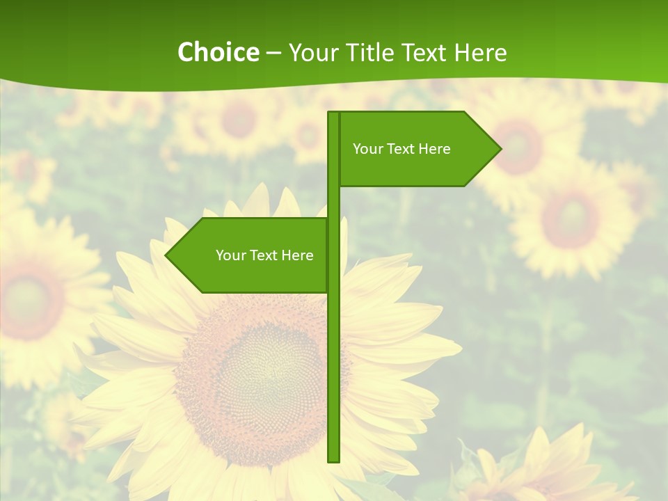 Vivid Agriculture Grow PowerPoint Template