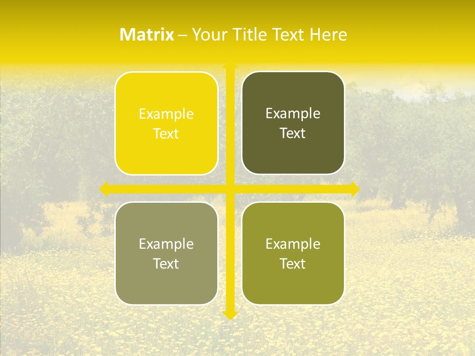 Yellow Olive Flower PowerPoint Template