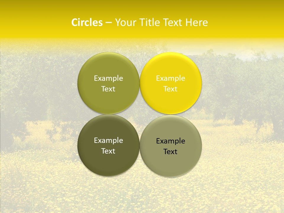 Yellow Olive Flower PowerPoint Template