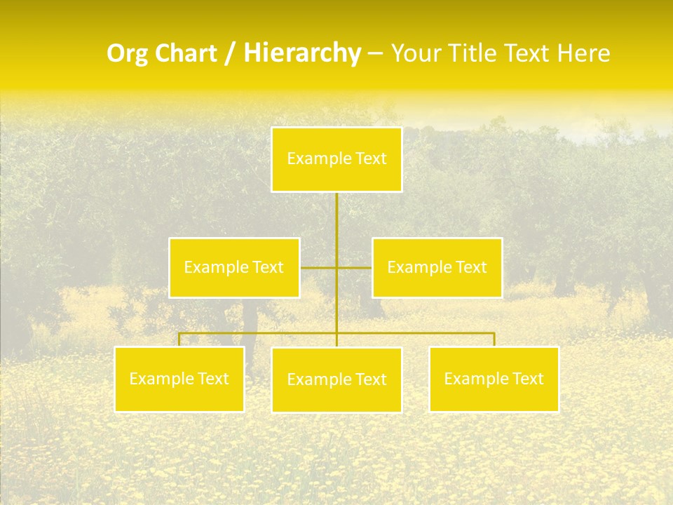 Yellow Olive Flower PowerPoint Template