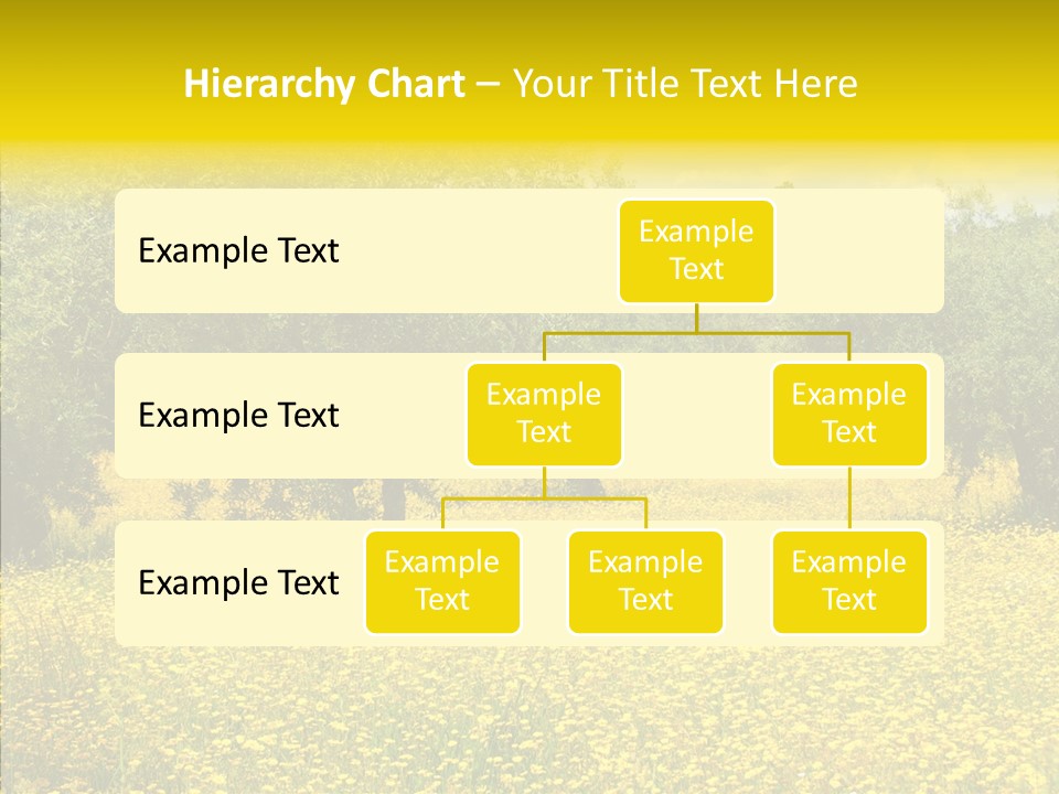 Yellow Olive Flower PowerPoint Template
