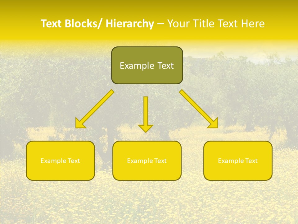 Yellow Olive Flower PowerPoint Template