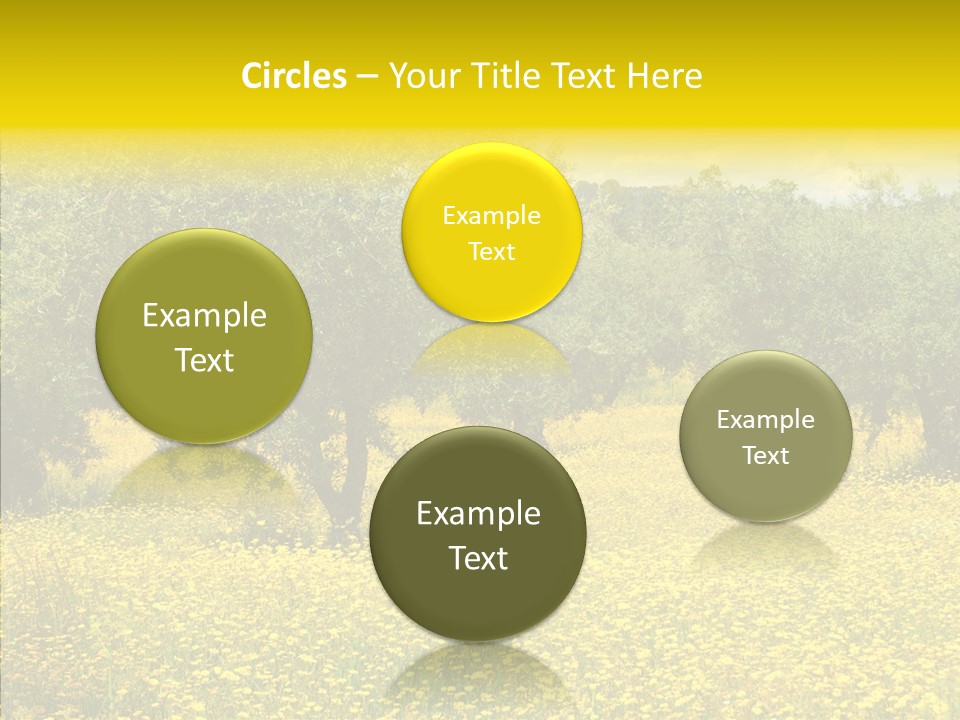 Yellow Olive Flower PowerPoint Template
