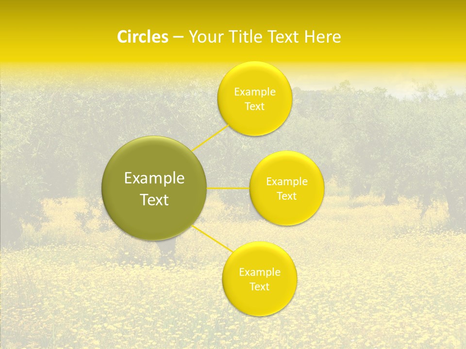 Yellow Olive Flower PowerPoint Template