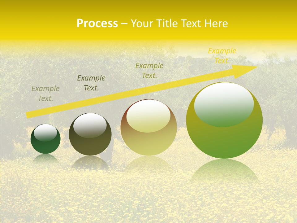 Yellow Olive Flower PowerPoint Template