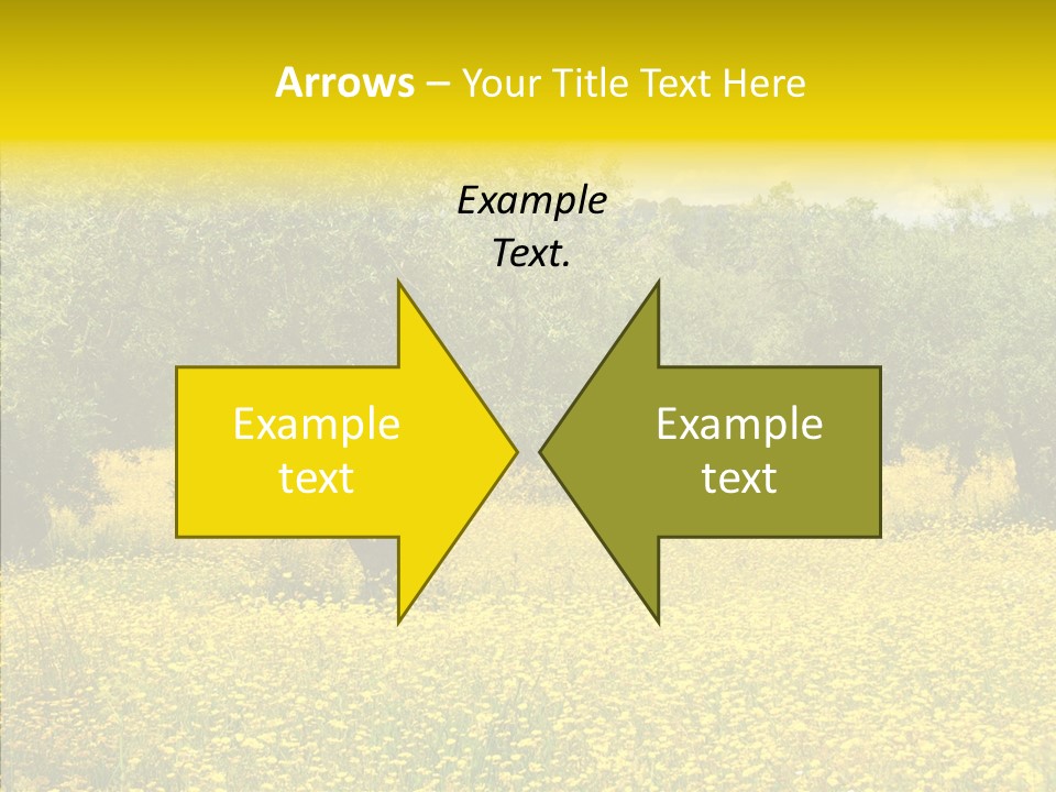 Yellow Olive Flower PowerPoint Template