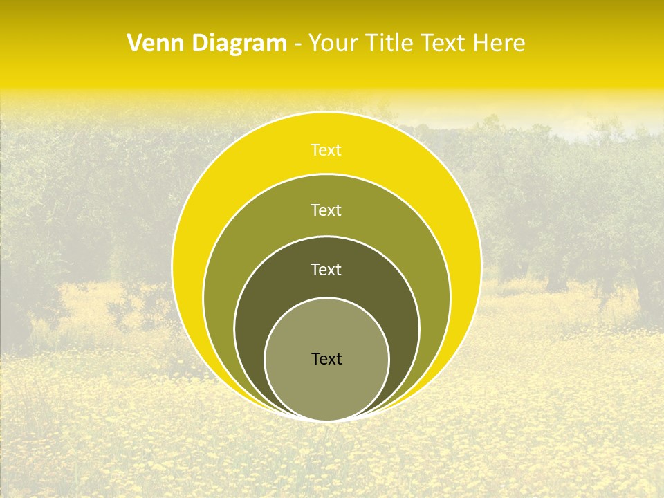 Yellow Olive Flower PowerPoint Template