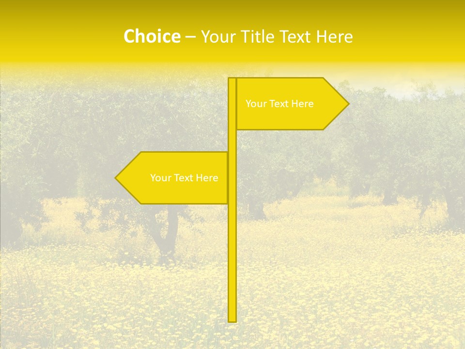 Yellow Olive Flower PowerPoint Template