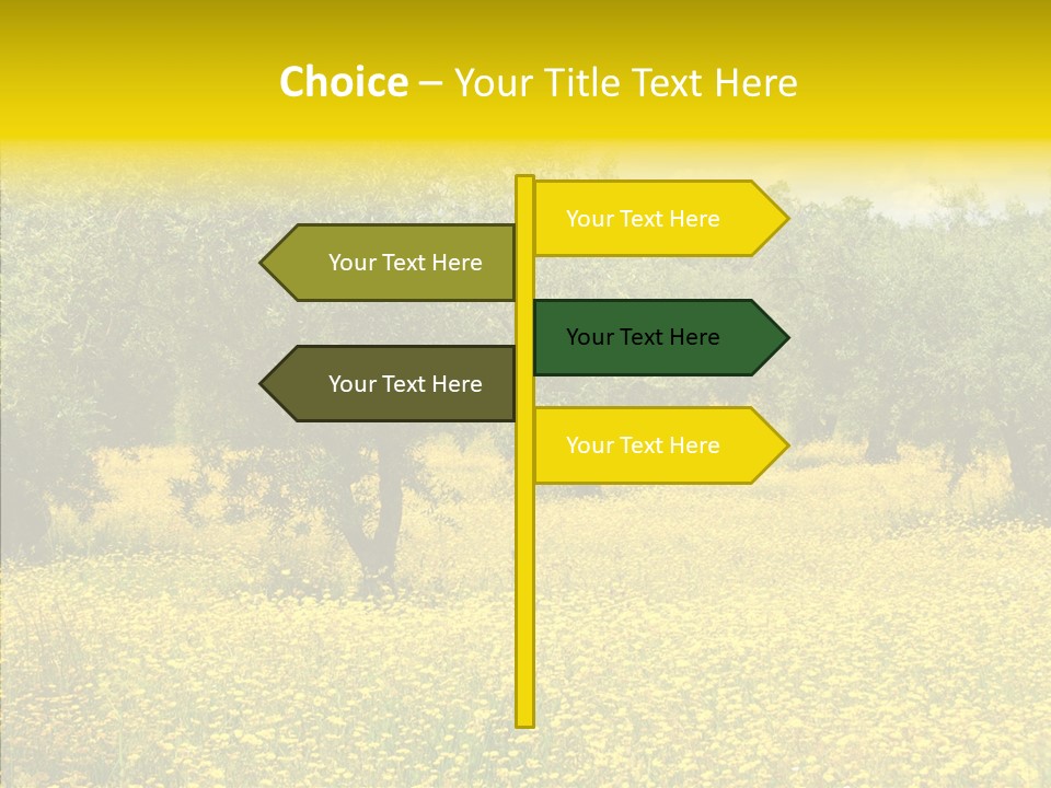 Yellow Olive Flower PowerPoint Template