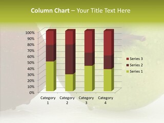 Health Recipe Diet PowerPoint Template