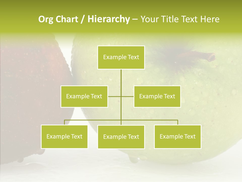 Health Recipe Diet PowerPoint Template