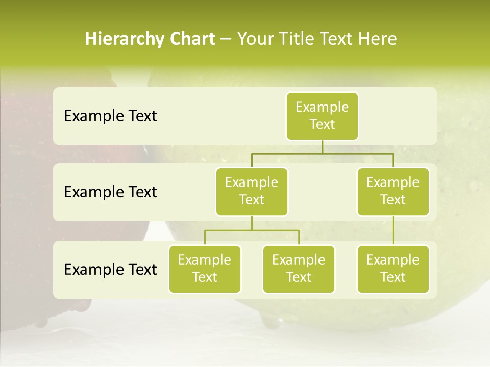 Health Recipe Diet PowerPoint Template