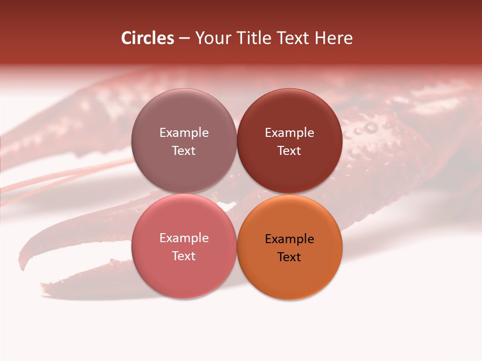 Antenna Photography Seafood PowerPoint Template