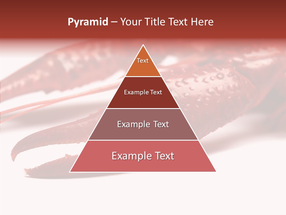 Antenna Photography Seafood PowerPoint Template